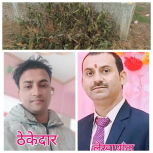 Dofoto 20260406 052433836